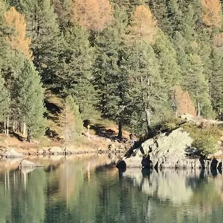 Alpe Campo Vakantiehuis *