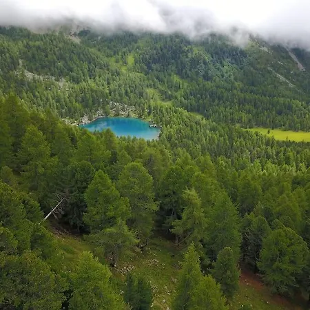 Alpe Campo Holiday home